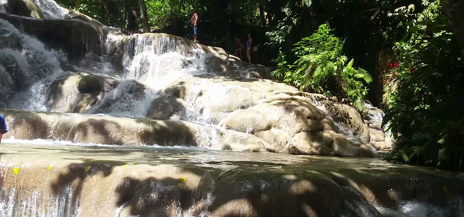 2017-08-06 00.35.03.jpg